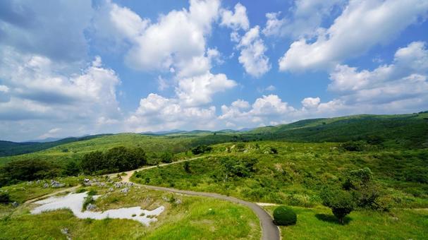 カルスト台地の風景 カルスト台地の風景 秋吉台,カルスト台地,美祢市の写真素材