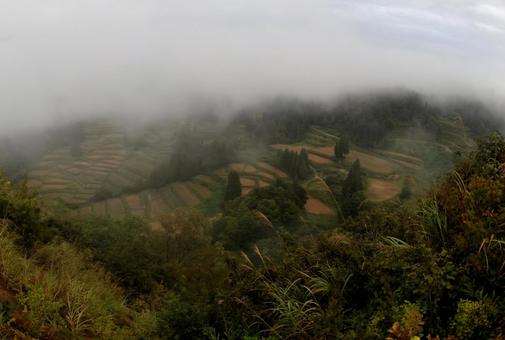 慶地の棚田 慶地の棚田 慶地の棚田,棚田,十日町の写真素材