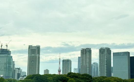 浜離宮から東京タワー方面 浜離宮から東京タワー方面の写真