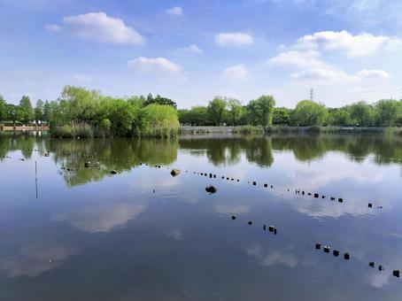 The banks of the large pond in Toneri Park, JPG