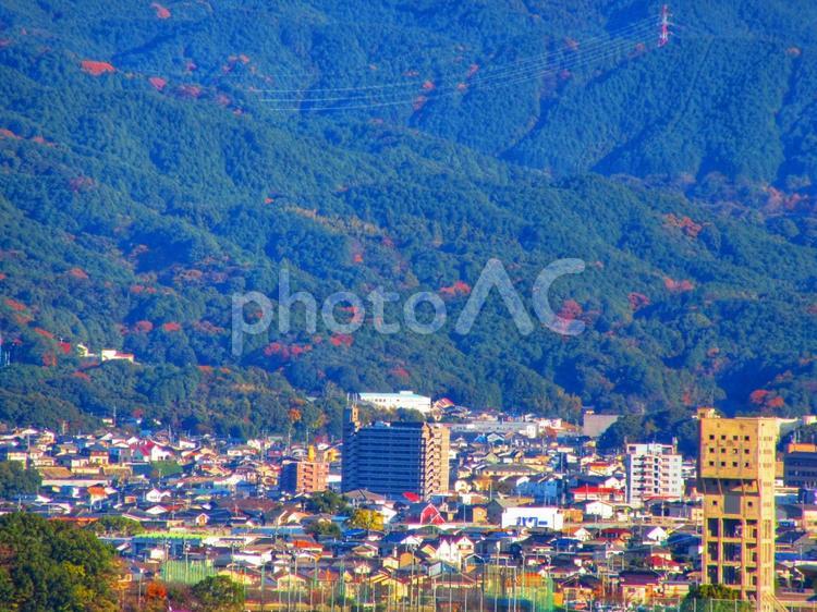 高台から町を見下ろした風景 町,街,街並みの写真素材