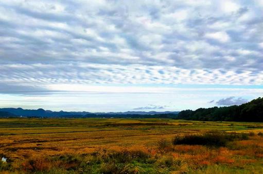 2025年10月の空6 イワシ雲,サバ雲,ウロコ雲の写真素材
