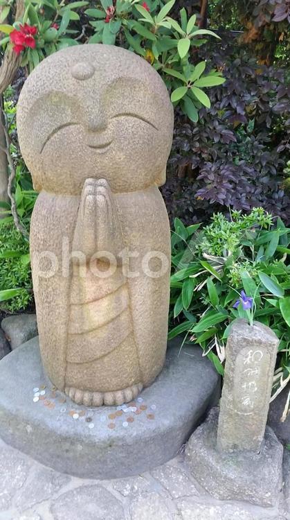 和み地蔵 長谷寺,鎌倉,あじさい寺の写真素材