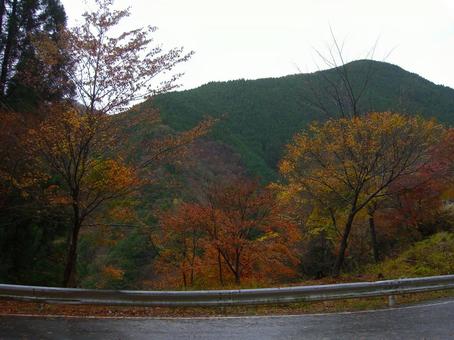 秋ハイキング 秋ハイキングの写真
