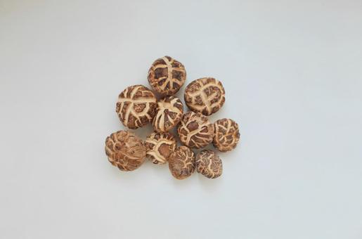 干し椎茸のクローズアップ1 干し椎茸のクローズアップ1の写真