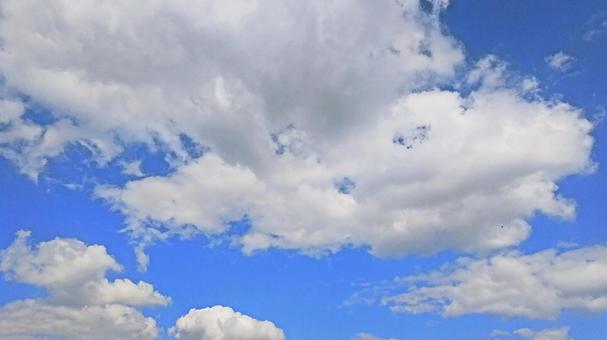 秋空.19 秋空.19の写真