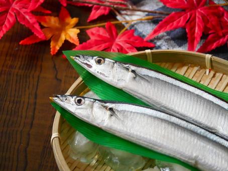生秋刀魚.3 生秋刀魚.3の写真