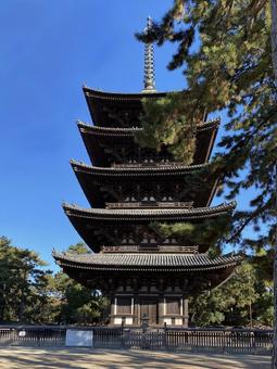 五重塔 興福寺,国宝,世界遺産の写真素材