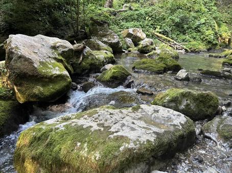 河内風穴 川 1 河内風穴 川 1の写真