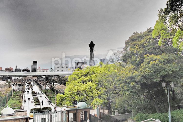 市立美術館前より望む浪速の街並み 浪速,なにわ,街並みの写真素材