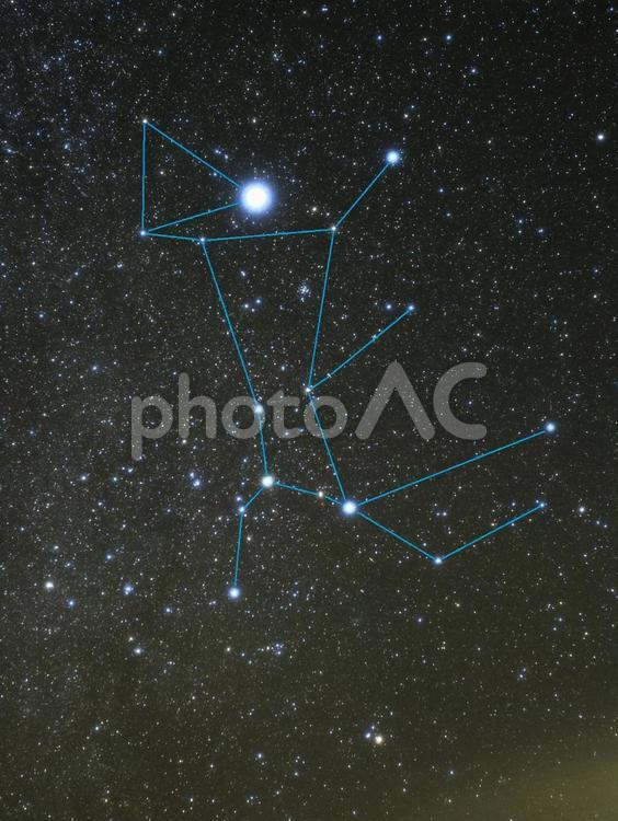 おおいぬ座（星座線）・天体 おおいぬ座,星座,星座線の写真素材