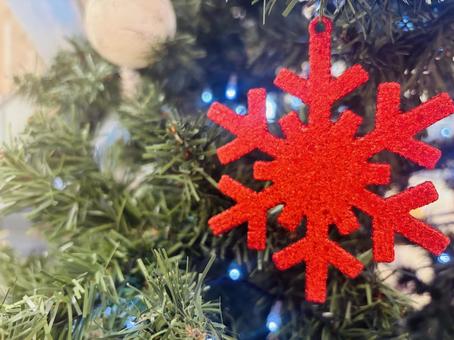 クリスマスツリー クリスマス,クリスマスツリー,ツリーの写真素材