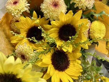 夏の花ヒマワリ 夏の花ヒマワリ ヒマワリ,黄色,花の写真素材