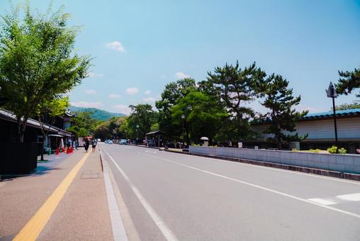 Photo, nara, temple, 2025, 