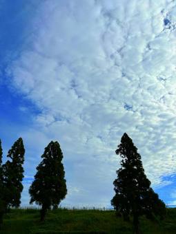 空 雲 空 雲の写真