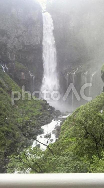 滝 白,緑,自然の写真素材