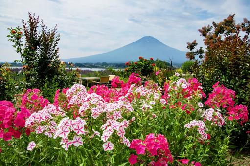 夏の富士 夏の富士の写真