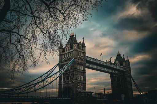枝越しの塔とタワーブリッジ 枝越しの塔とタワーブリッジ タワーブリッジ,ロンドン,イギリスの写真素材