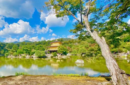 金閣寺 金閣寺 金閣寺,金閣,鹿苑寺の写真素材