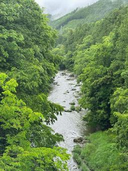 川と森 自然,緑,川の写真素材