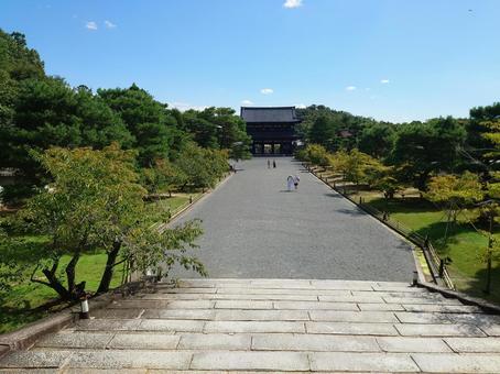 仁和寺境内 仁和寺,境内,参拝の写真素材