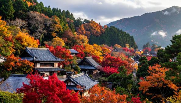 紅葉の秋の風景と日本家屋 紅葉の秋の風景と日本家屋の写真
