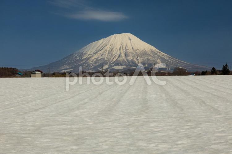 早春の羊蹄山の風景 羊蹄山,春,早春の写真素材