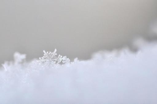 雪の結晶 雪,結晶,六角形の写真素材