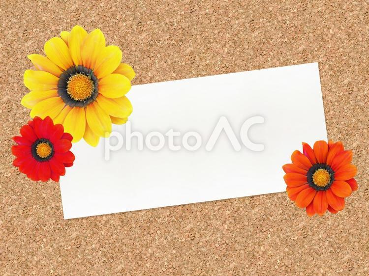 お花のメッセージボード（コルク） お花,かわいい,きれいの写真素材