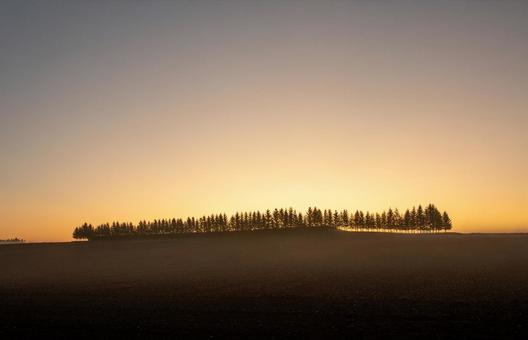 低く立ち込める朝もやと防風林の連なり 朝焼け,畑,農地の写真素材
