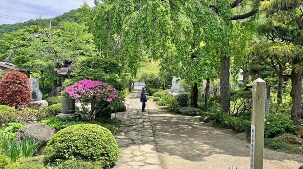 Photo, kikusui temple, enmeizan, approach, 
