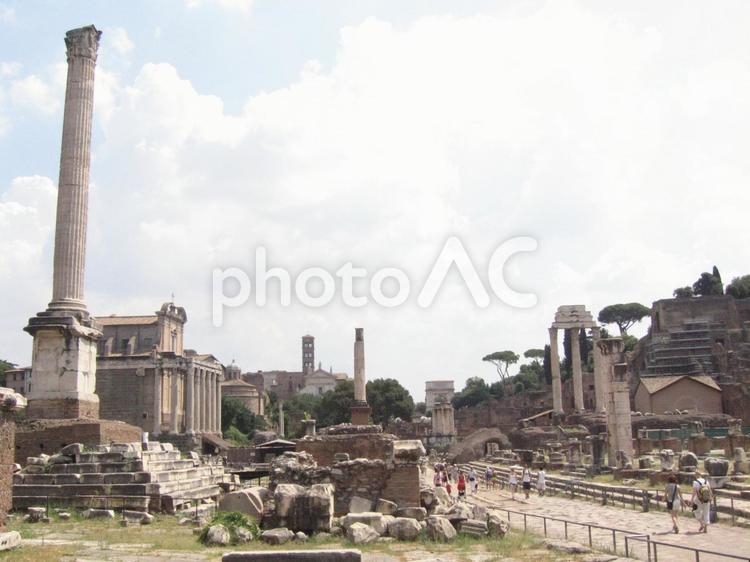 夏のイタリア　ローマ　フォロ・ロマーノ フォロ・ロマーノ,遺跡,ローマの写真素材