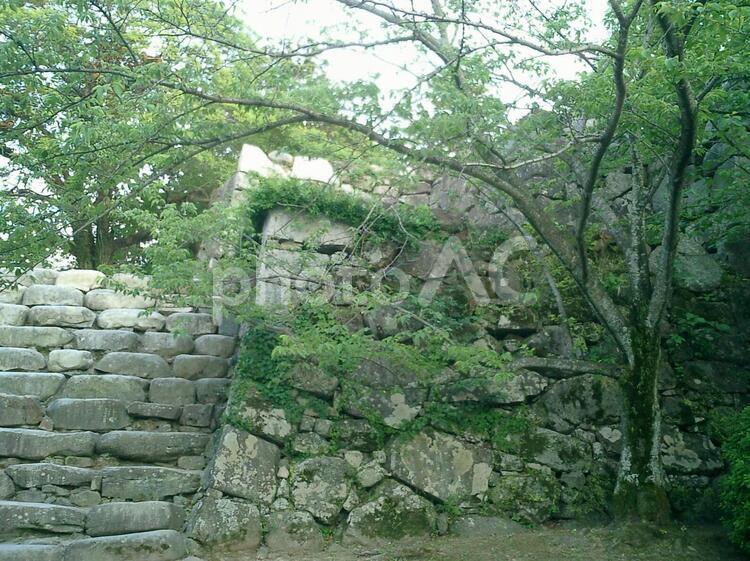 福岡城の石垣 福岡城,福岡,福岡県の写真素材