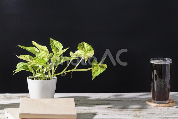 アイスコーヒーと観葉植物（ポトス） のみもの,コップ,グラスの写真素材