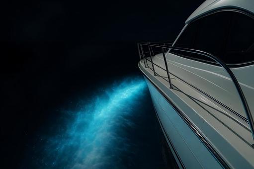 プレジャーボートの引き波と夜光虫の光3 プレジャーボートの引き波と夜光虫の光3の写真