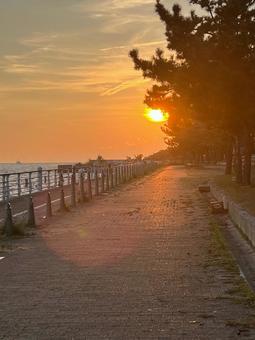 夕日に照らされた遊歩道 夕日,夕焼け,夕空の写真素材