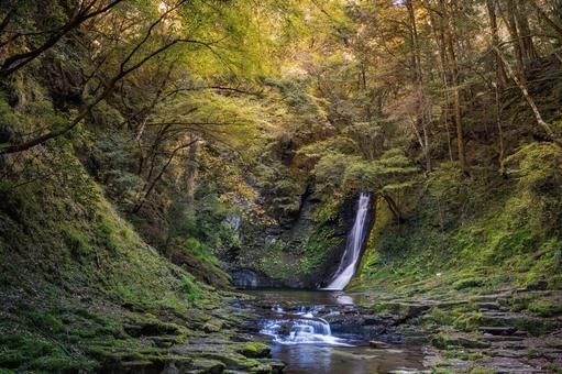 三重-【赤目四十八滝（紅葉）】 赤目四十八滝,赤目四八滝,川の写真素材