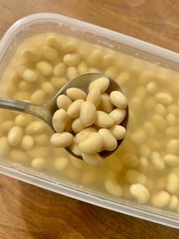 スプーンですくう大豆の水煮 大豆の水煮,大豆,豆の写真素材
