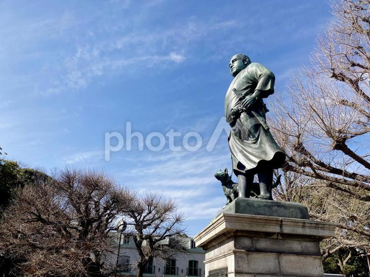 東京風景・上野公園 上野公園,上野恩賜公園,西郷隆盛像の写真素材