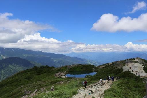 夏山|八方池 夏山|八方池の写真