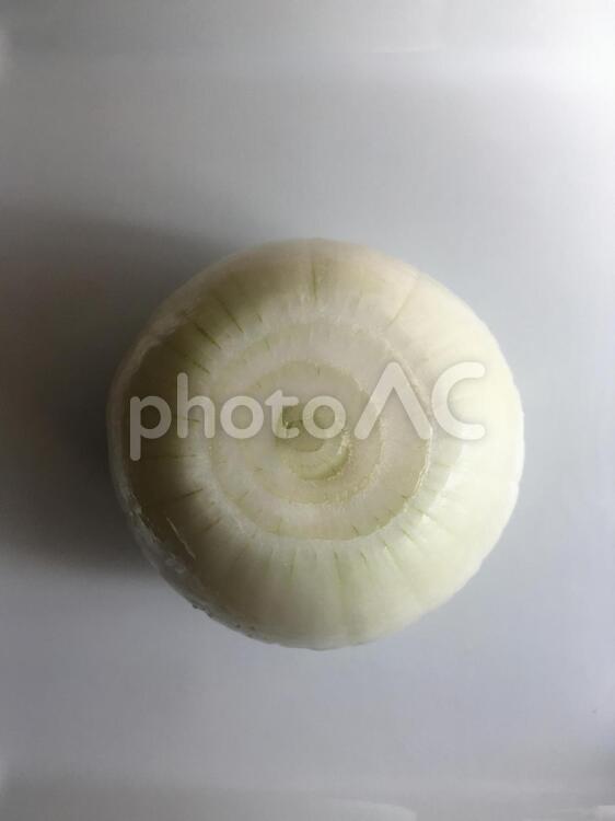 玉ねぎ　下処理 玉ねぎ,フード,野菜の写真素材