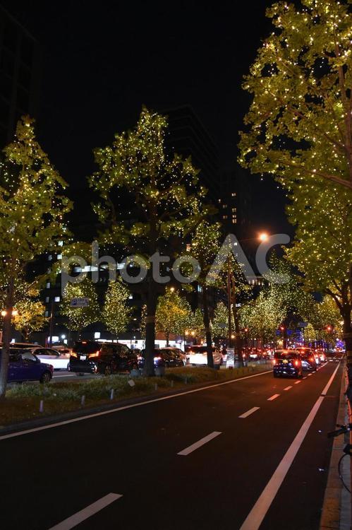 2023御堂筋イルミネーション 御堂筋,イルミネーション,夜景の写真素材