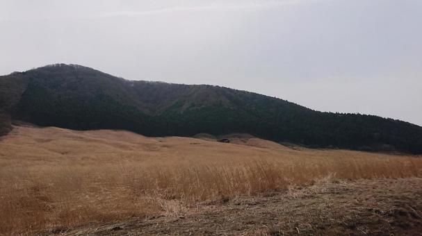 枯野 枯野の写真