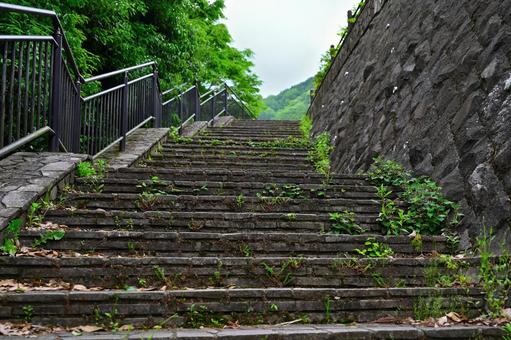 自然公園の急な階段 自然公園の急な階段の写真