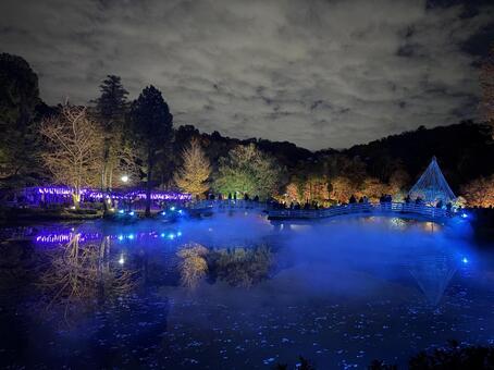 ライトアップされた薬師池公園 関東,東京都,町田市の写真素材