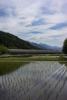 夏の田んぼとリニア線路と富士山 山梨,都留市,リニアの写真素材