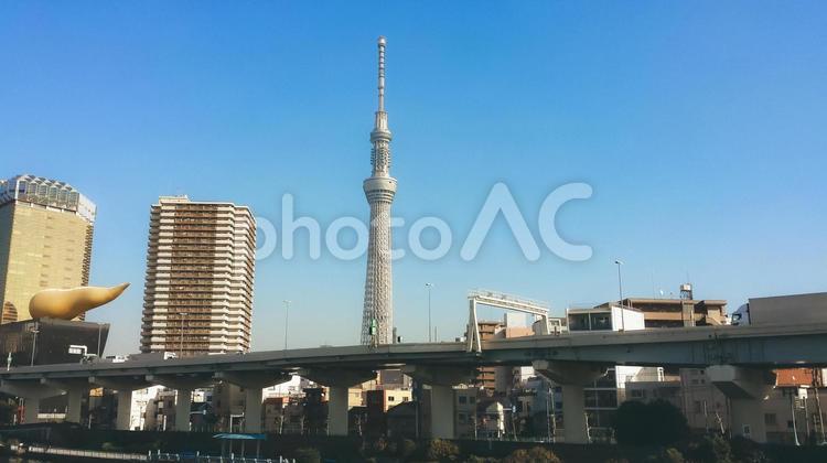 スカイツリーと下町の風景 スカイツリー,ビル群,風景の写真素材
