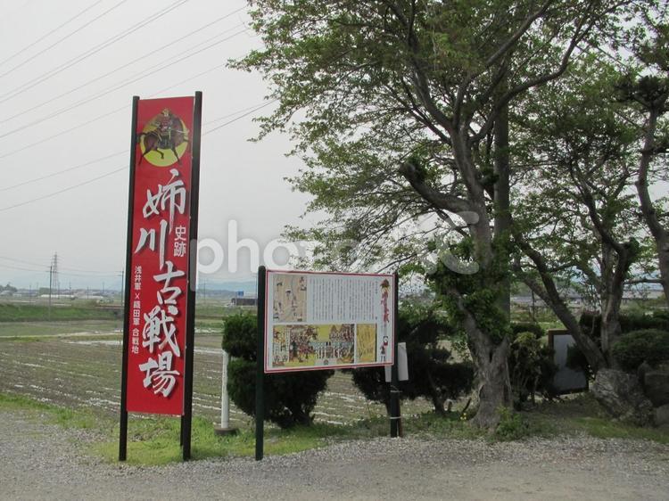 姉川古戦場　姉川古戦場の案内板 姉川古戦場,姉川の戦い,野村合戦の写真素材