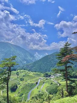 田舎の風景 田舎の風景の写真