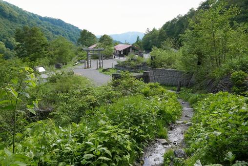 観光新道登山口 観光新道登山口 白山,観光新道,別当出合の写真素材